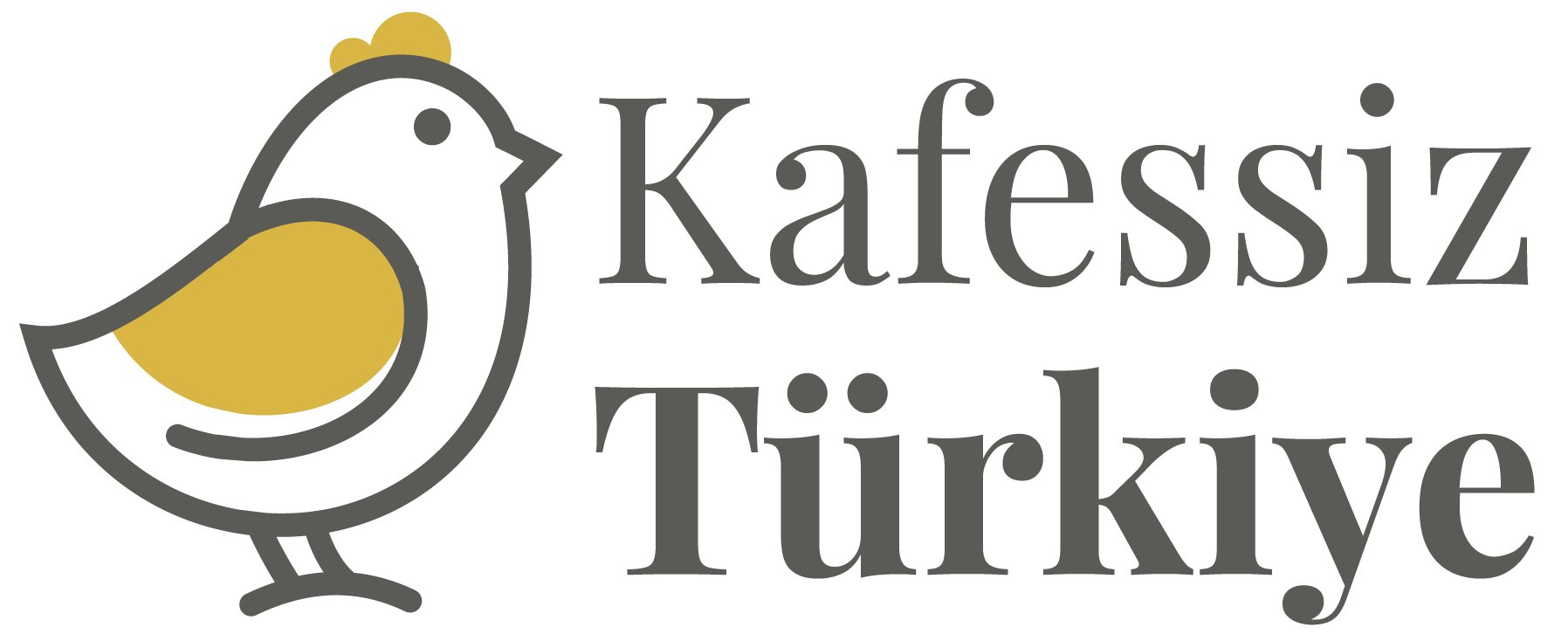 kt_logo